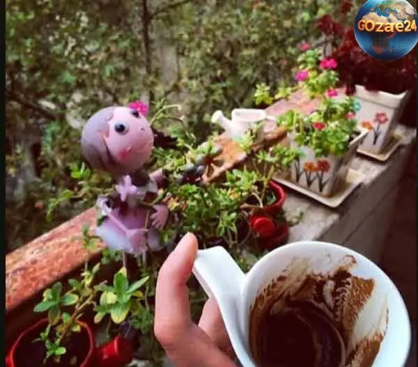 بالکن‌ با صفا و زیبای خانه مهراوه شریفی نیا