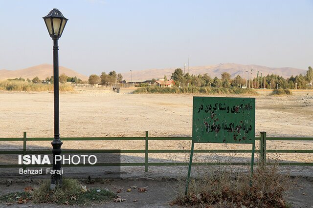 سراب نیلوفر خشک شد