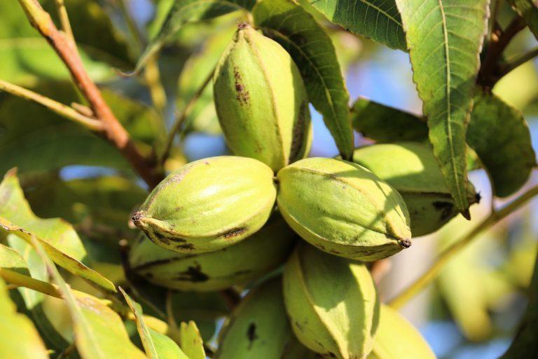 روایت میدانی از پیشرفتهای زیرساختی و اقتصادی در دروازه شمالغرب ایران روایت میدانی از پیشرفتهای زیرساختی و اقتصادی در دروازه شمالغرب ایران