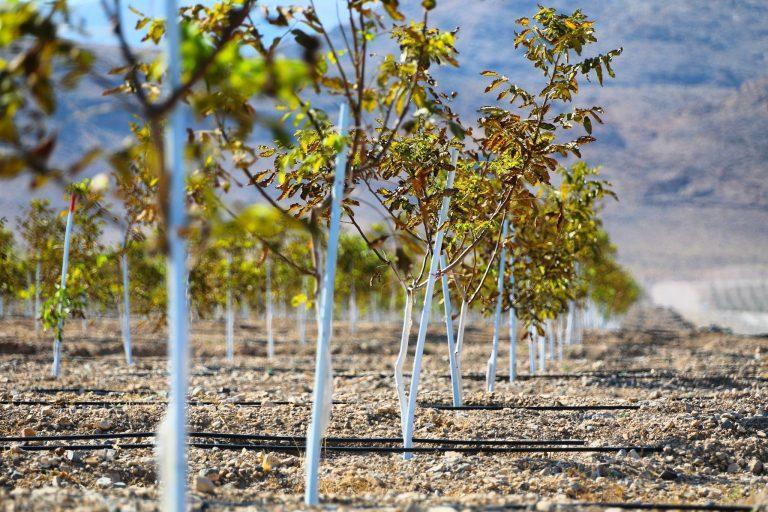 روایت میدانی از پیشرفتهای زیرساختی و اقتصادی در دروازه شمالغرب ایران روایت میدانی از پیشرفتهای زیرساختی و اقتصادی در دروازه شمالغرب ایران