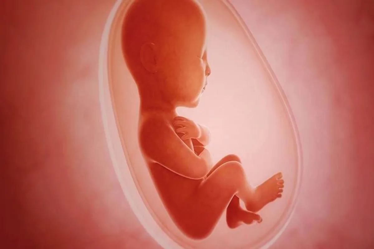 آمار سالانه سقط جنین خودخواسته در ایران