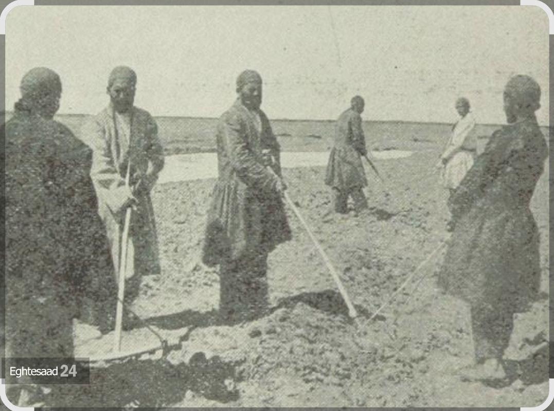 ظاهر متفاوت کشاورزان در زمین زراعی