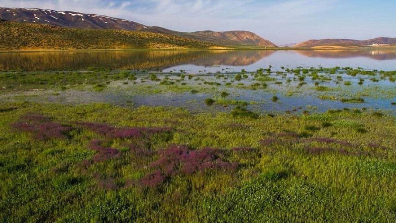 وضعیت قرمز تالاب‌ها در ایران