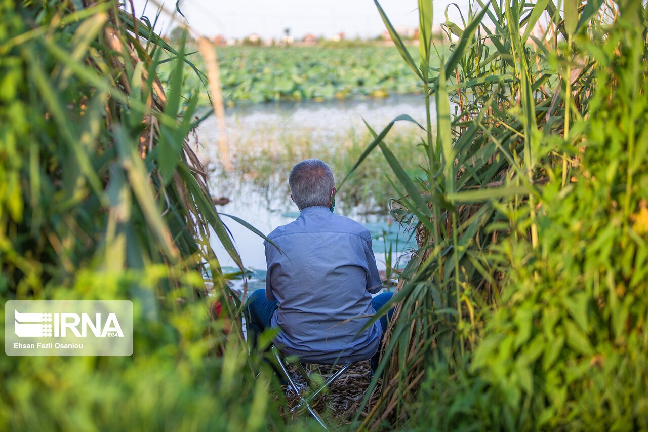 وضعیت قرمز تالاب‌ها در ایران