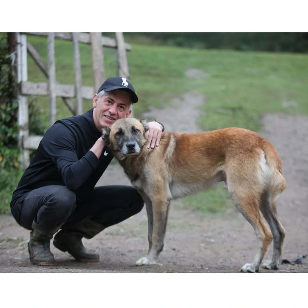 طبیعت‌گردی بازیگر مارمولک