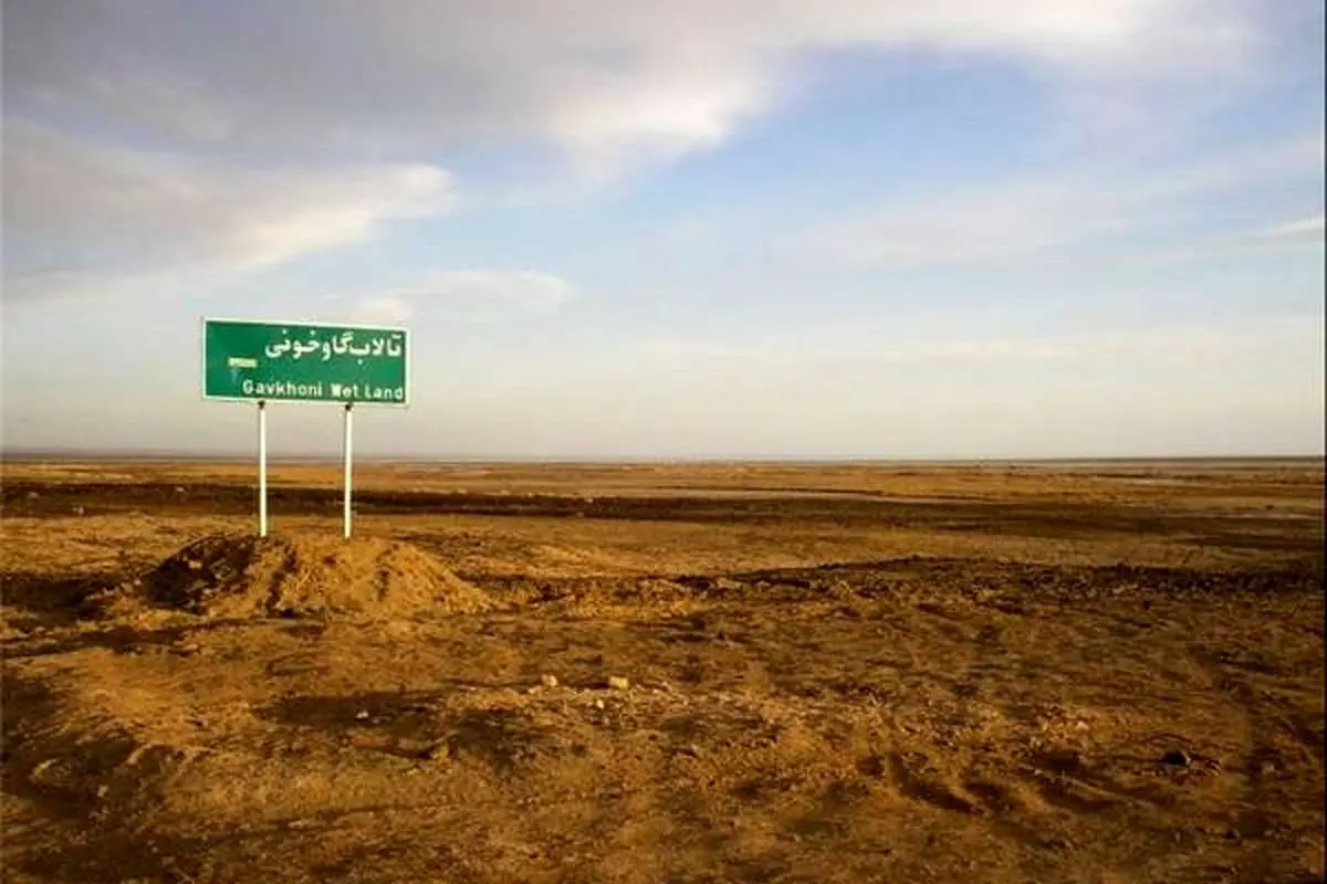 هشدار ساكنان حاشيه «گاوخوني» هشدار ساكنان حاشيه «گاوخوني»