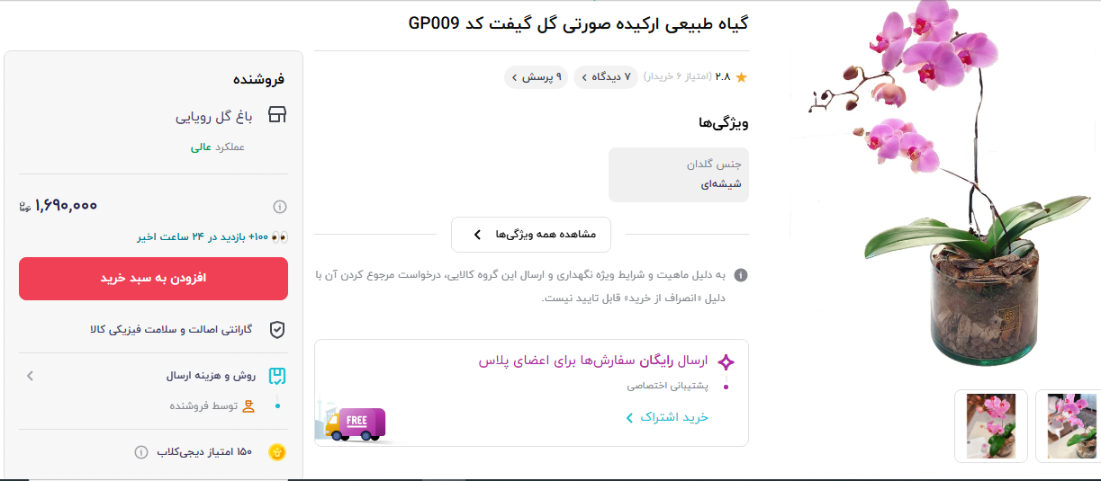 قیمت گل ارکیده