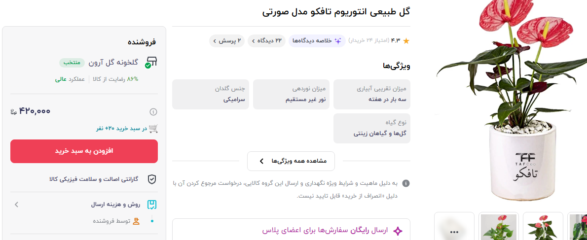 قیمت گل انتریوم