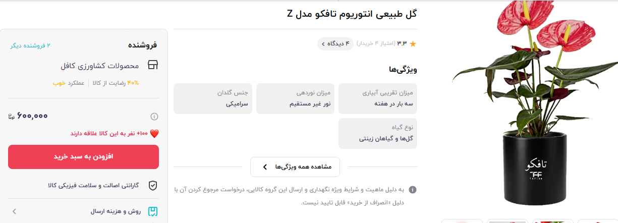 خرید گل انتریوم