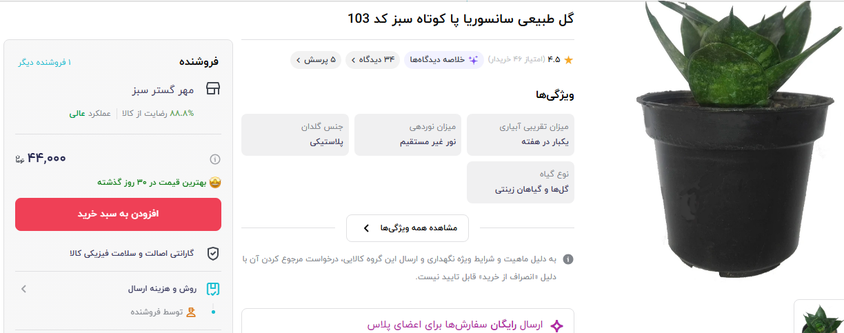 ارزان ترین گل سنسوریا