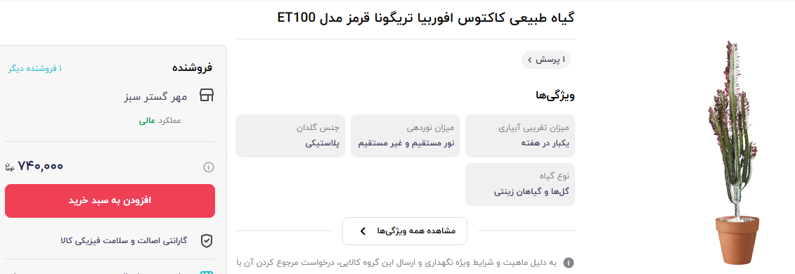 قیمت گل کاکتوس