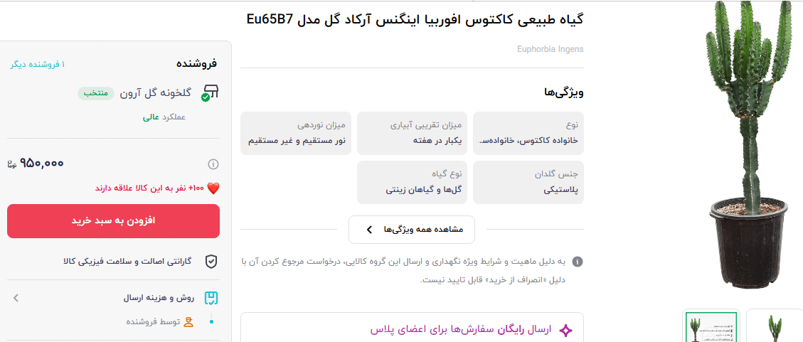 قیمت کاکتوس