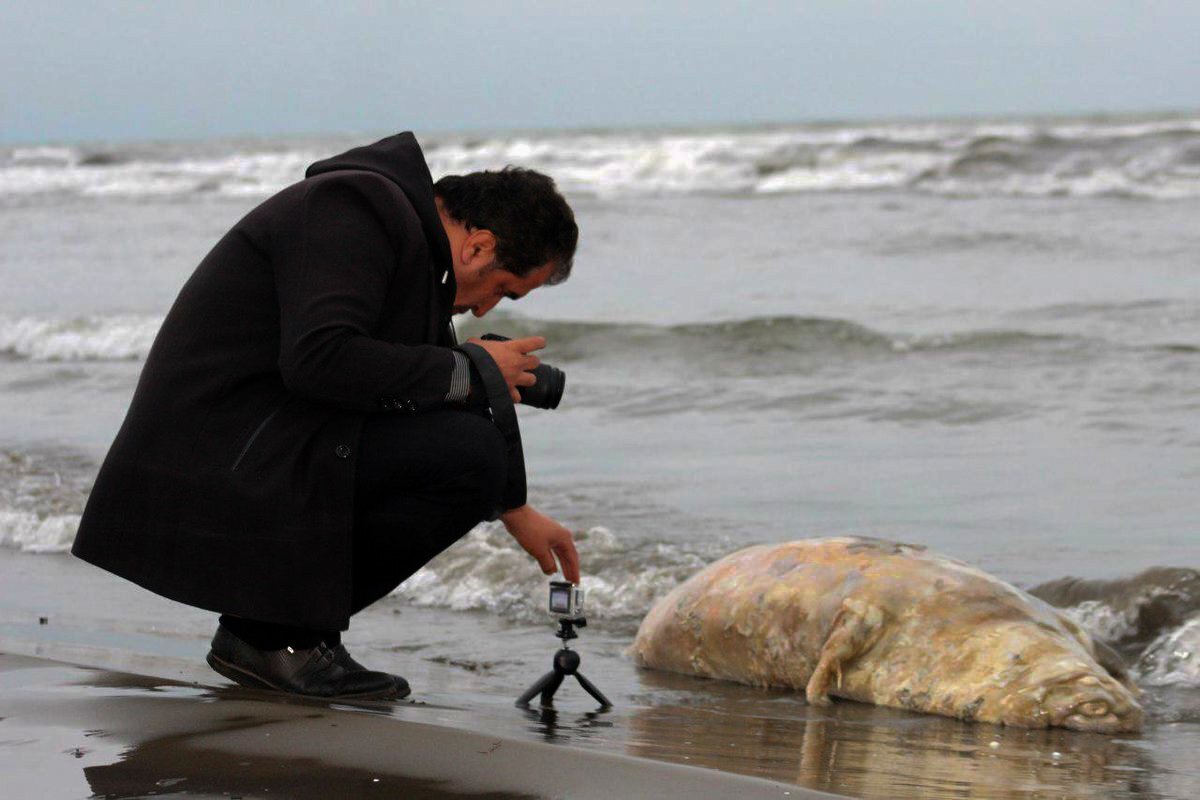 جان دادن در آب، جنازه در خشکی جان دادن در آب، جنازه در خشکی