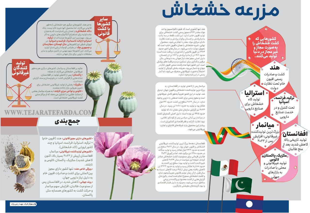 کدام کشورها مزرعه خشخاش دارند؟