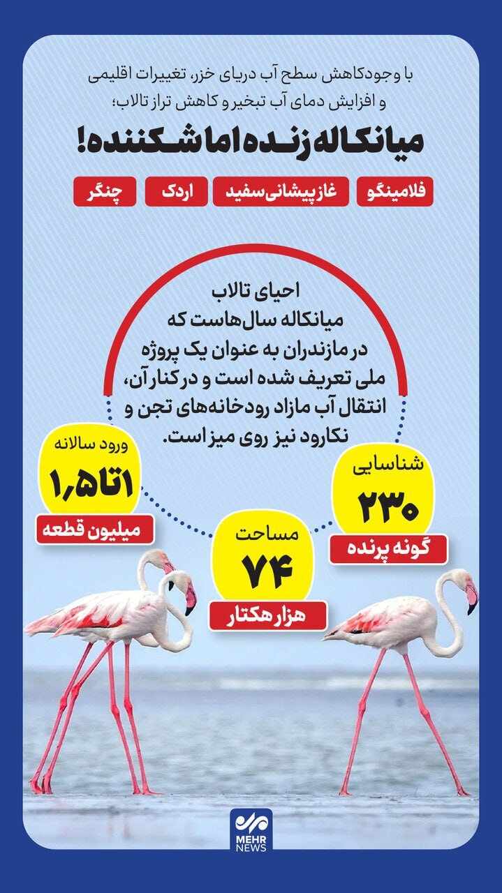 بازگشت پرندگان به میانکاله زنده اما شکننده!