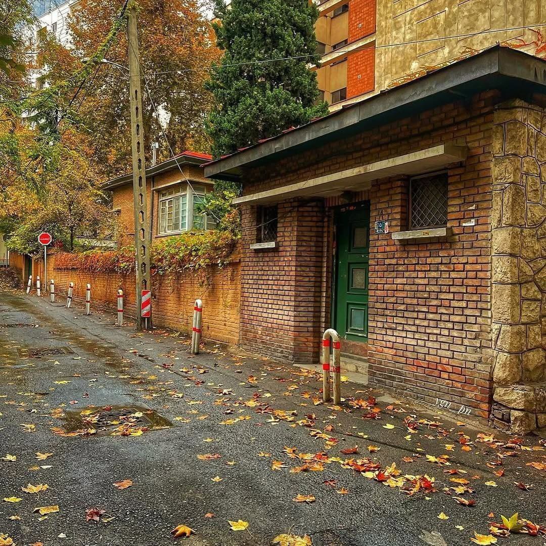 پاییز رنگارنگ