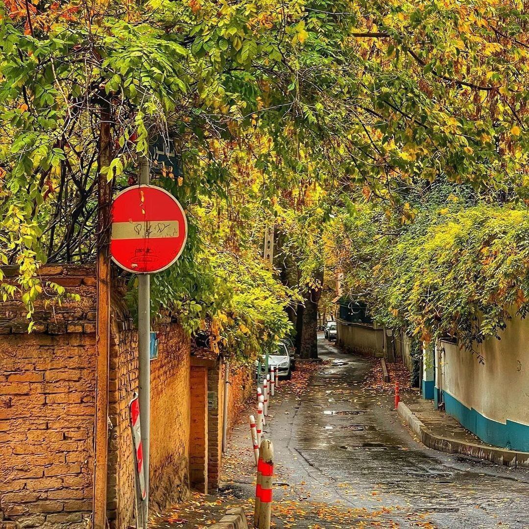 پاییز در کوچه‌پس‌کوچه‌های تهران