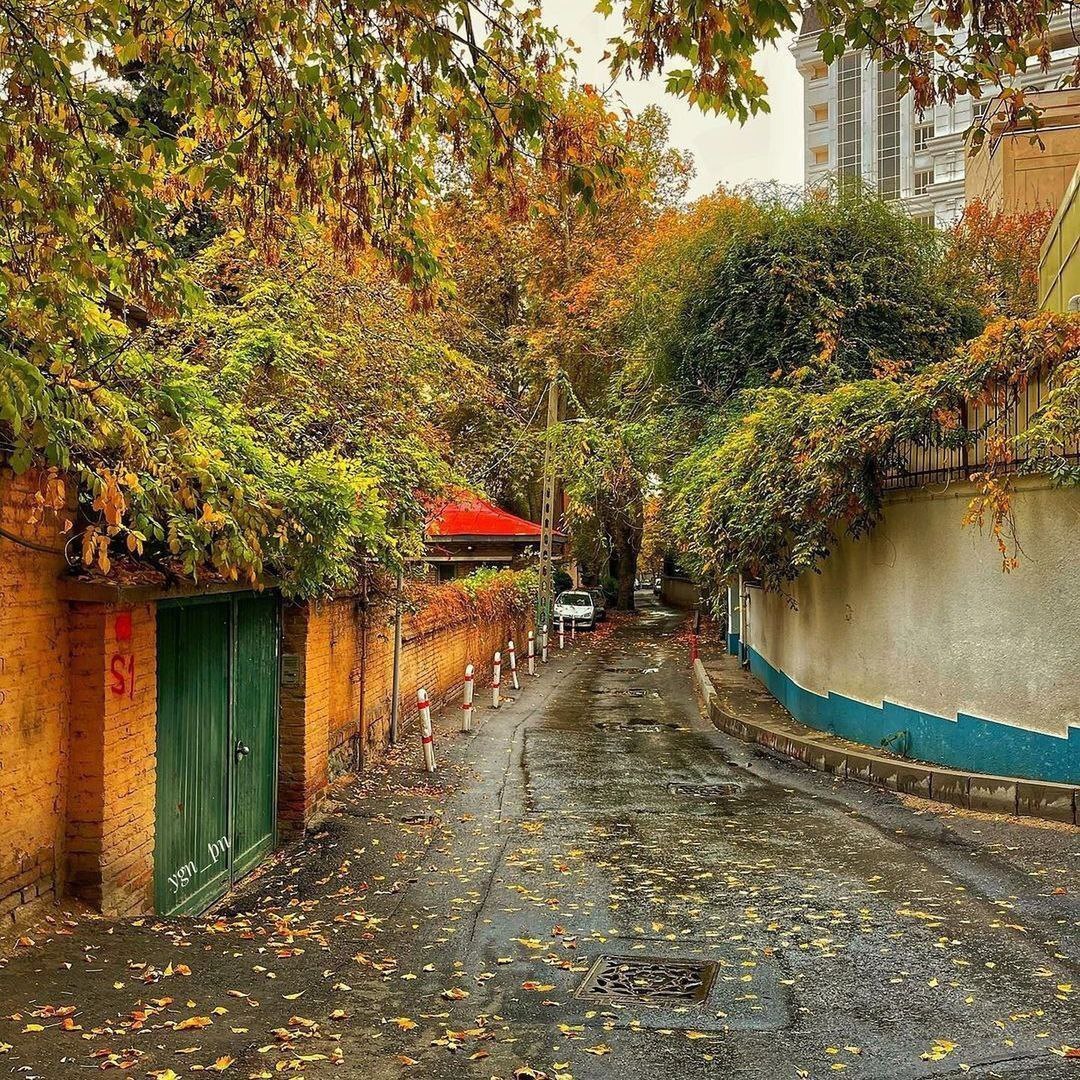 پاییز رنگارنگ در کوچه‌پس‌کوچه‌های تهران