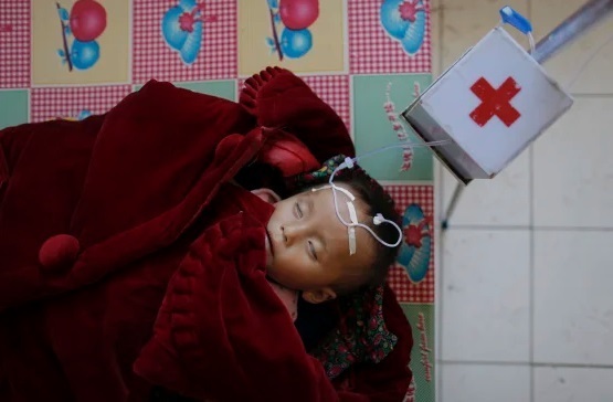 نزواد کره شمالی