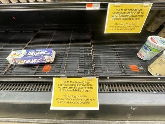 کمبود غذایی کره