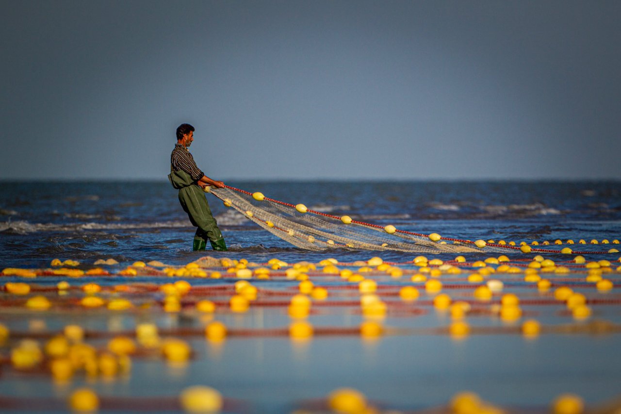 تور ماهیگیرها در خزر کمجان پهن شد تور ماهیگیرها در خزر کمجان پهن شد