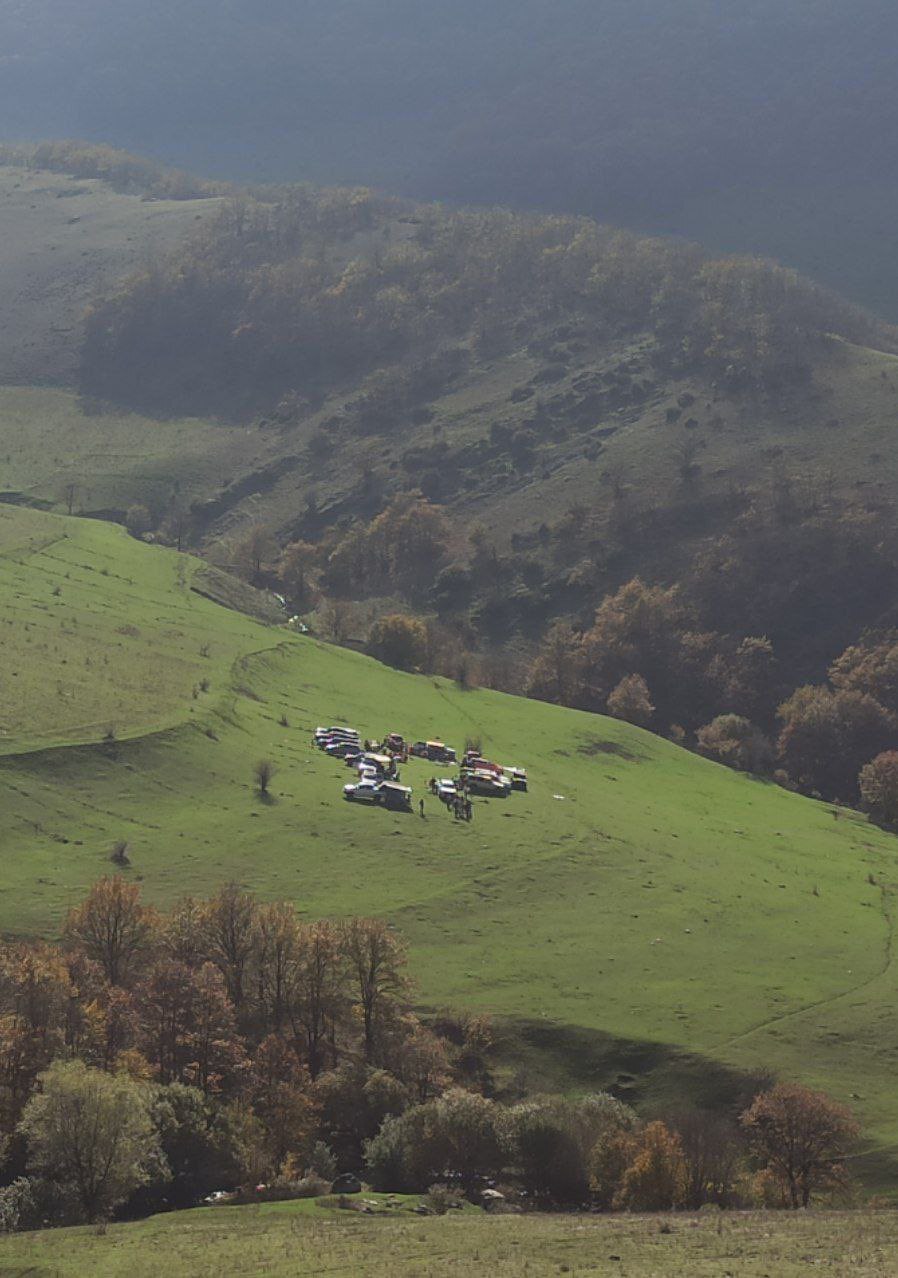 ویرانی جنگل‌های شمال