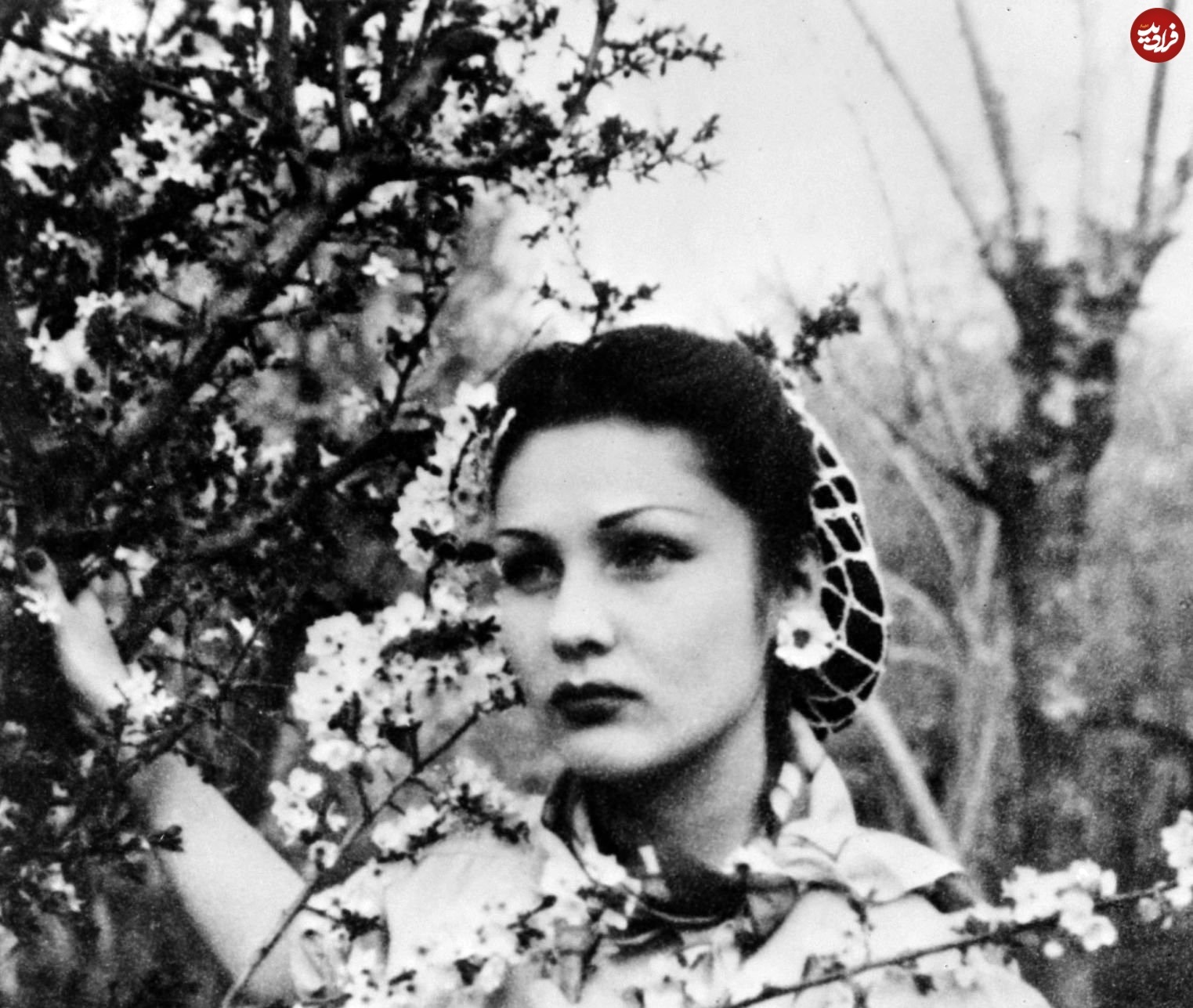 چهره جوان و متفاوت فوزیه فواد