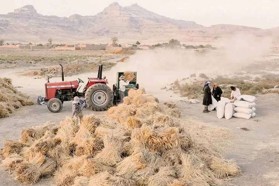 توفان تخلیه