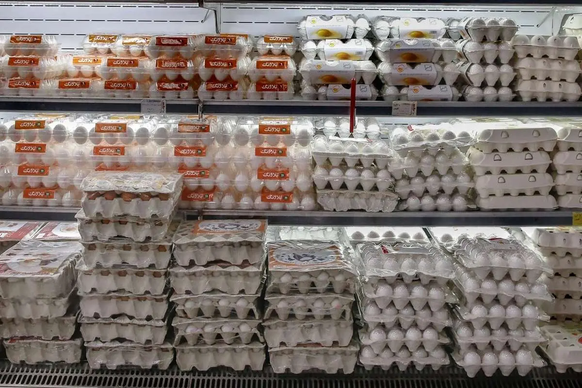 گرانی بی‌سابقه تخم مرغ