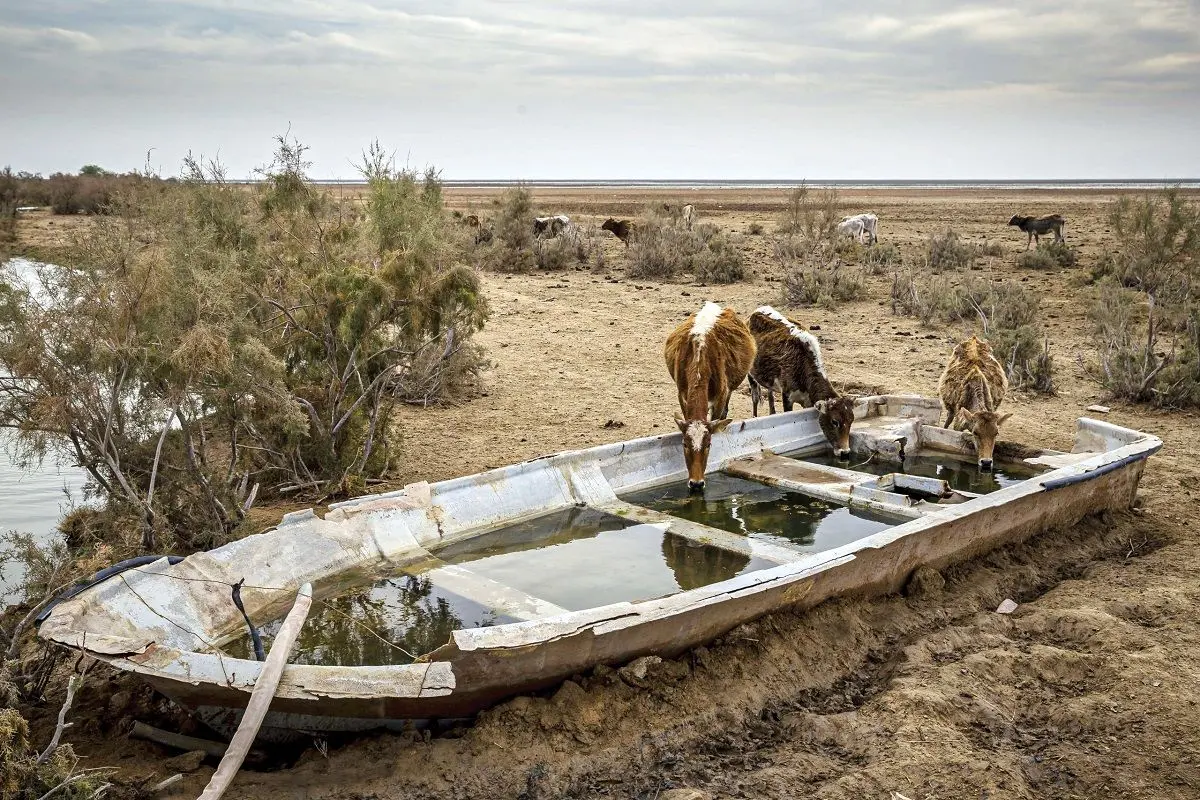 خطر خشکسالی در جهان