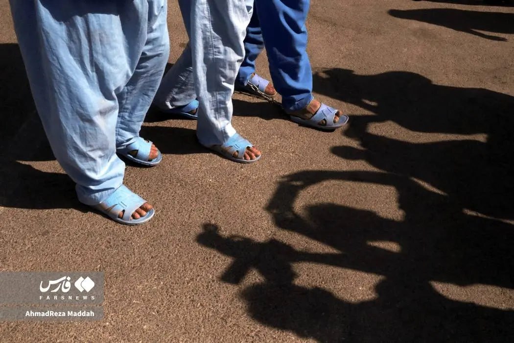 اعضای باند سارقان به عنف