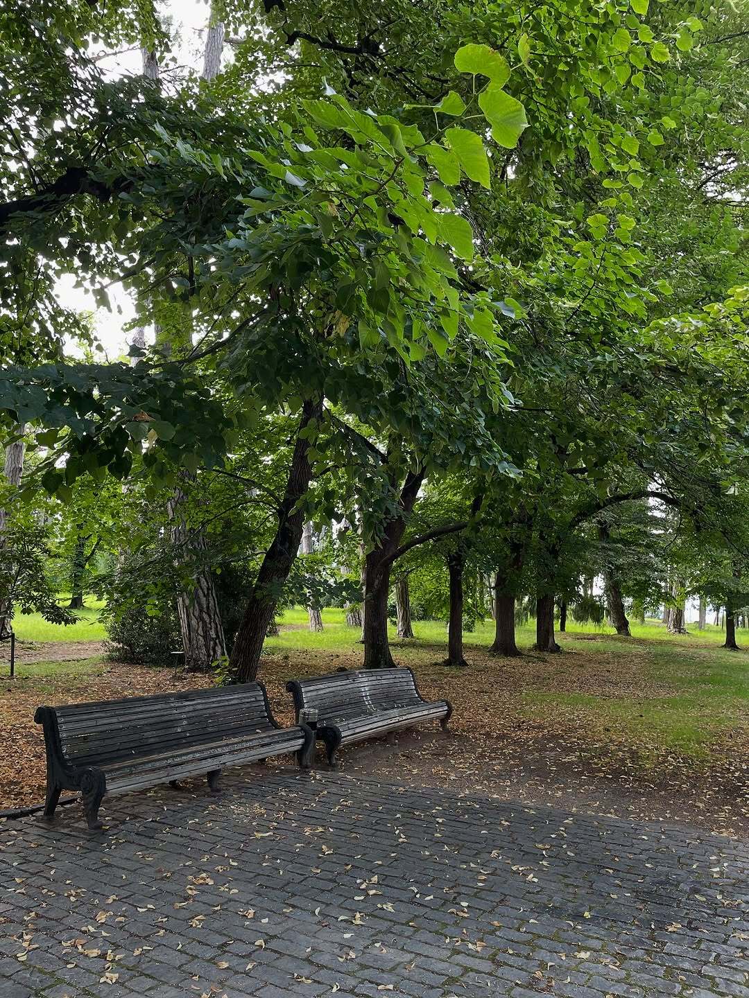 مهرداد صدیقیان