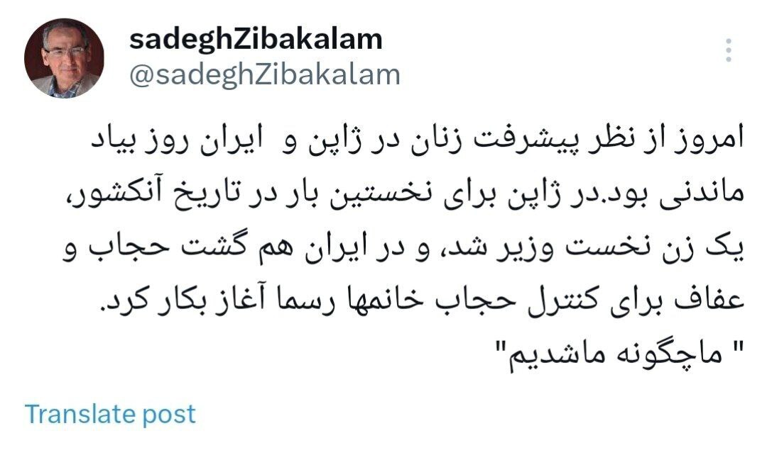 اظهارنظر صادق زیباکلام درباره بازگشت گشت ارشاد