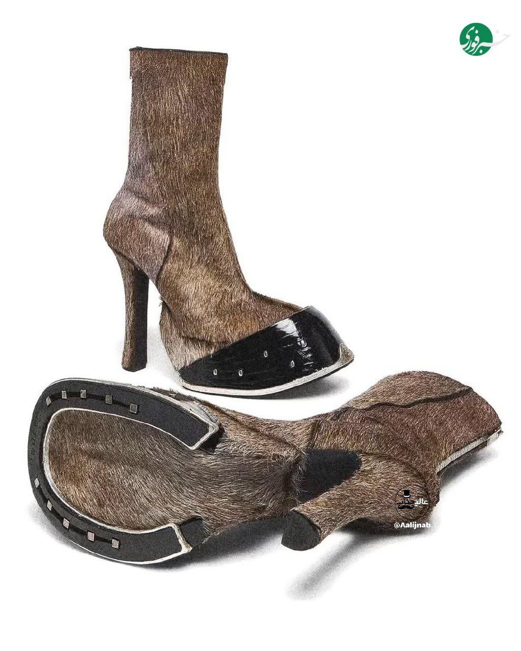 طرح عجیب سم الاغ روی کفش‌