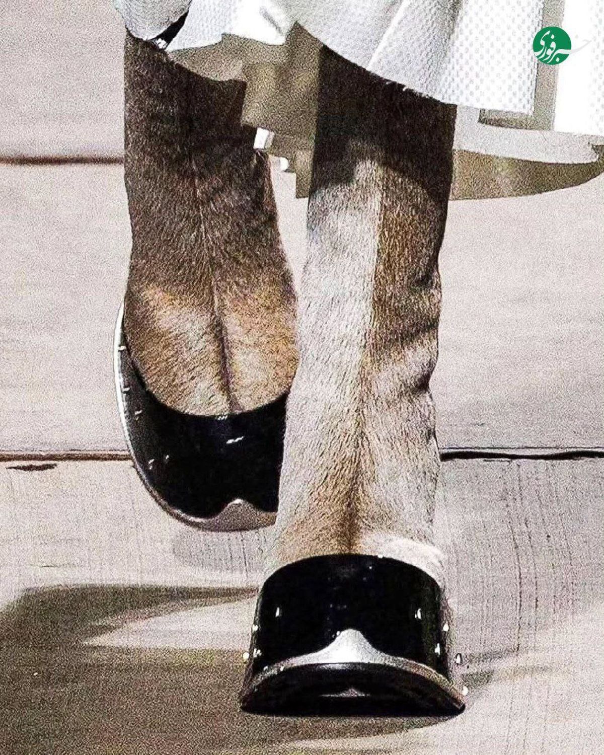 کفش‌های با الهام از سم الاغ