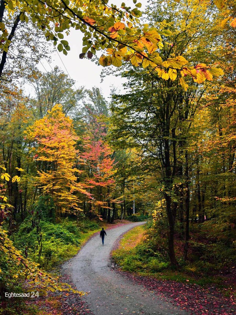 پاییز رویایی گرگان