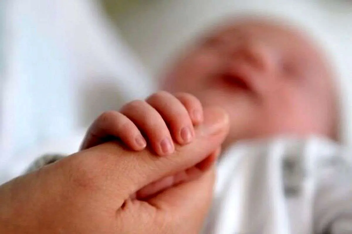 فرزندآوری فرزندآوری