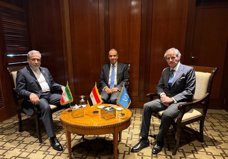 عراقچی و گروسی در کنار وزیر خارجه مصر