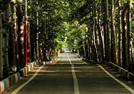 عکس/ پاییز حیرت انگیز باغ منظریه اقامتگاه همسر ناصرالدین‌شاه