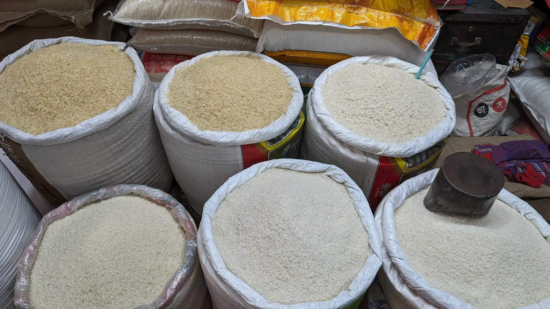 قیمت برنج ایرانی قیمت برنج ایرانی