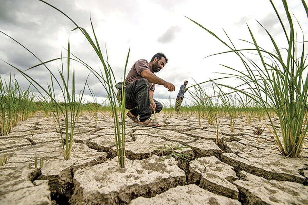 مزرعه کشاورزی