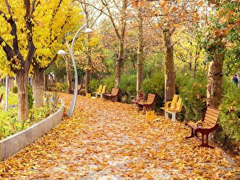 عکس/ تصویر تکان دهنده از پاییز تهران به فاصله یک سال