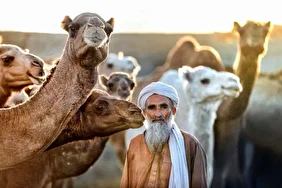 نقاشی طبیعت و فرهنگ بر بوم چابهار