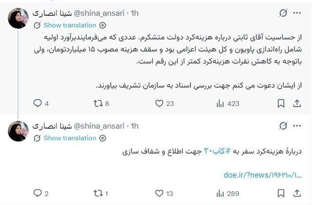 شینا انصاری