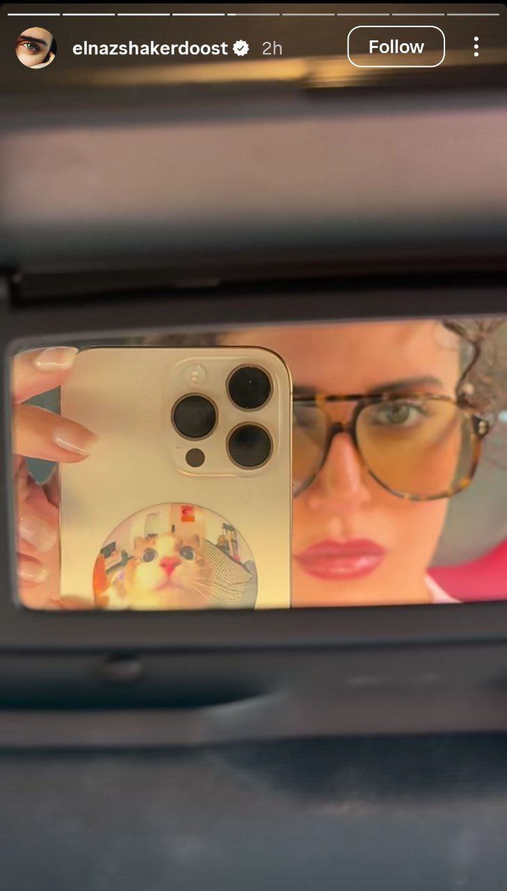 سلفی دیدنی الناز شاکردوست