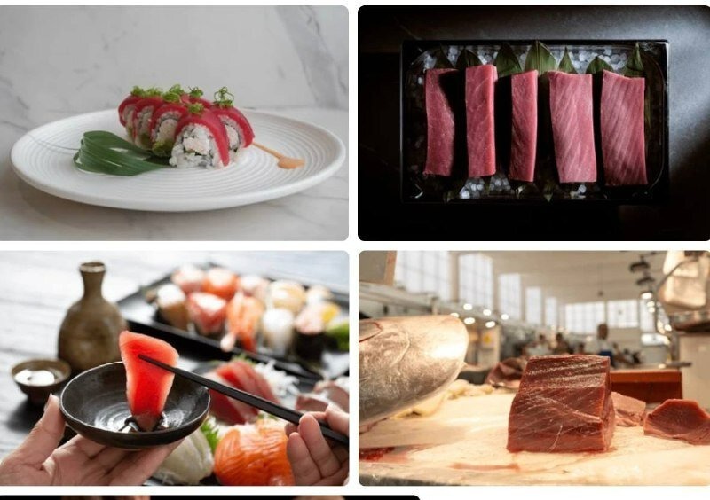 انواع غذای خارجی