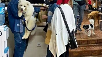 پاپوچینو برای سگ‌ها در نخستین کافه حیوانات خانگی + عکس