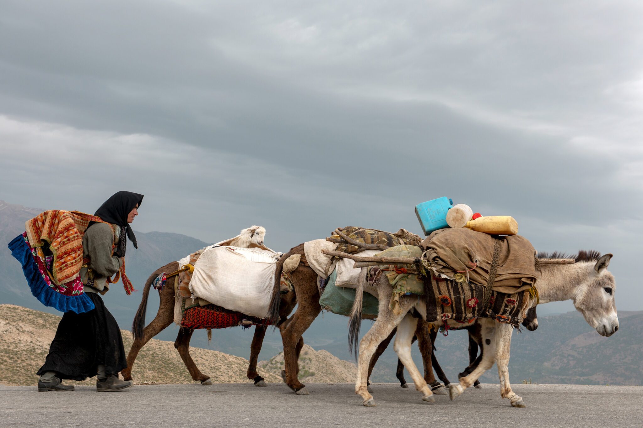 کوچ نشینی در ایران کوچ نشینی در ایران