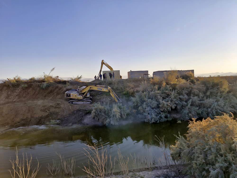 قطع درخت در رودخانه کر