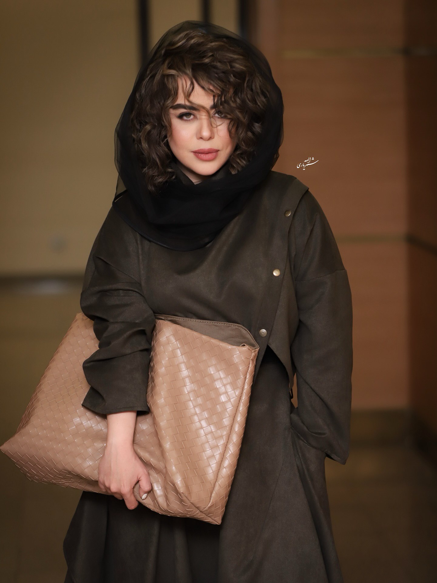 الهام اخوان با کیف برند گرانقیمت